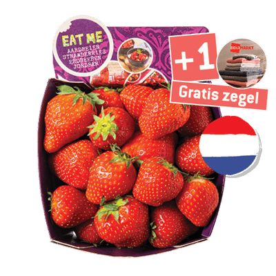 Hollandse Aardbeien